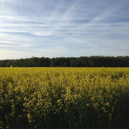 Apartmán Strandblick Zingst