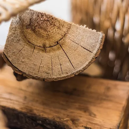 아파트 Strandblick 징스트